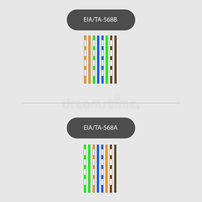 Different Types of Cable Crimds, Connector Rj45 Stock Vector
