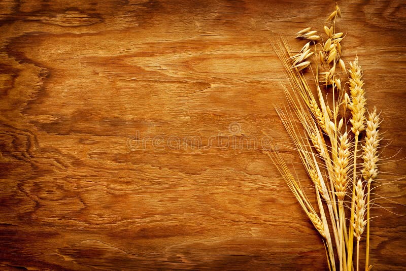 Different types of cereals displayed on vintage wood background royalty free stock images