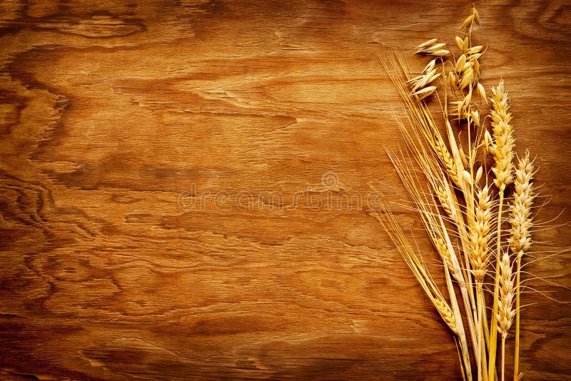 Different types of cereals displayed on vintage wood background