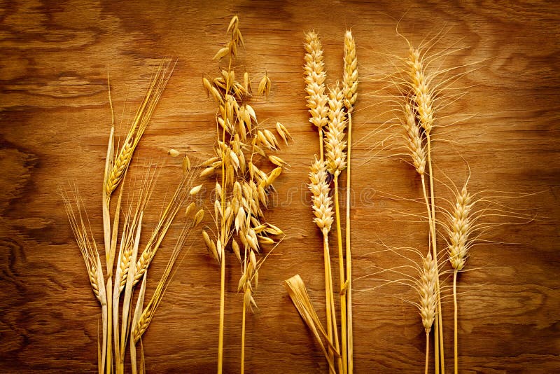 Different types of cereals displayed on vintage wood board