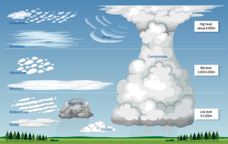 Types of clouds stock vector. Illustration of computing - 45388705