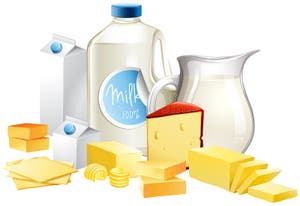 Different Types Of Dairy Products Stock Vector Illustration Of 