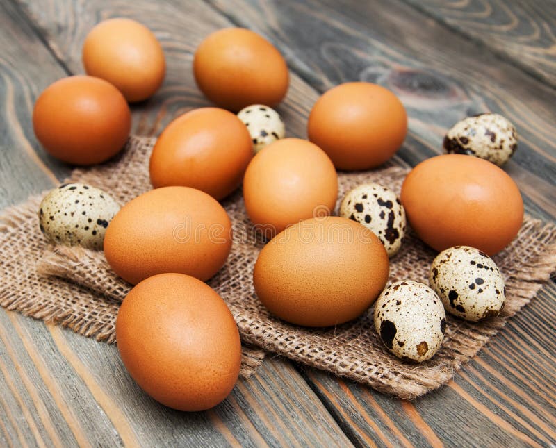 Different types of eggs stock photo. Image of feather - 50895532