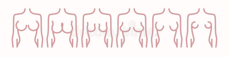 Different Types of Female Figures. Six Options for the Shape of the Female  Breast Stock Illustration - Illustration of anatomy, graphic: 173375861