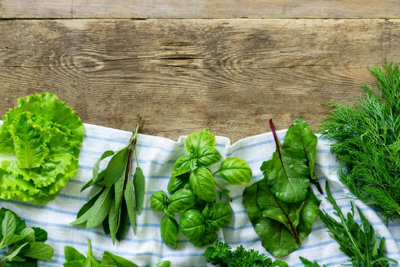 Different Types of Fresh Herbs Stock Photo Image of food, herbs