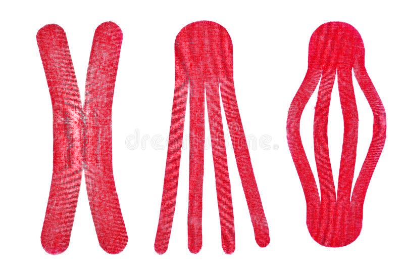 Different Types of Medical Tapes Stock Image Image of massage, case