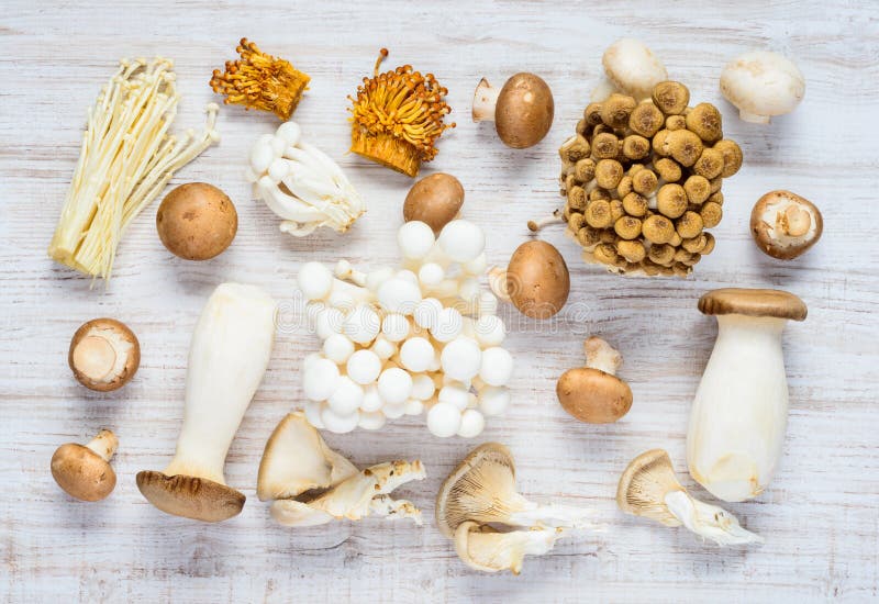 Different Types of Mushrooms in Top View royalty free stock images
