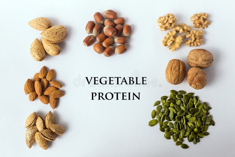 Different Types of Nuts and Seeds. a Full Source of Vegetable Pr Stock