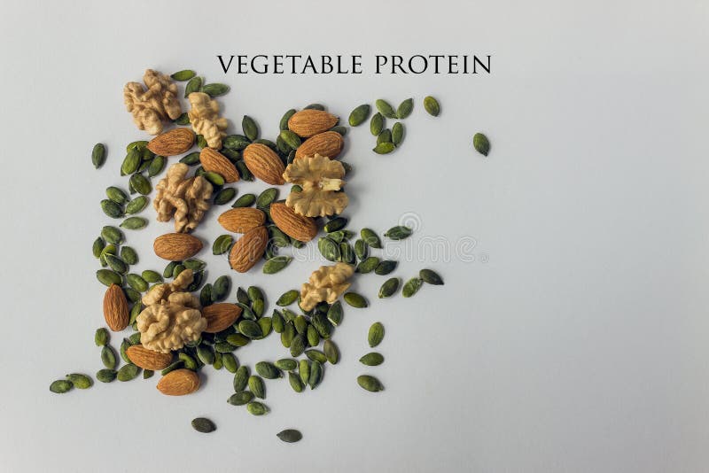 Different Types of Nuts and Seeds. a Full Source of Vegetable Pr Stock