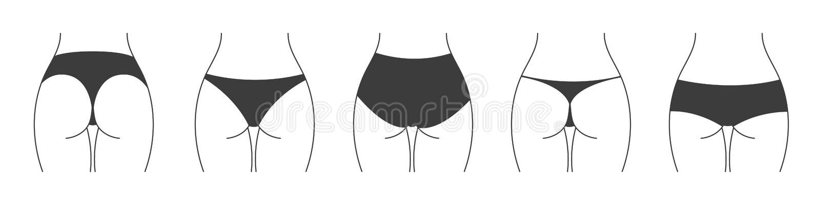 Different Types of Panties. Collection of Lingerie Back View Stock Vector -  Illustration of curve, panties: 220707231