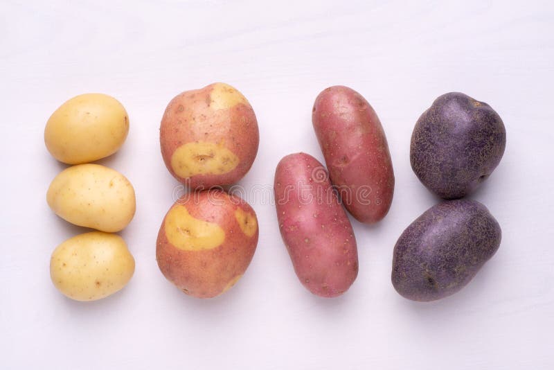Different types of potatoes on white wooden rustic table stock images