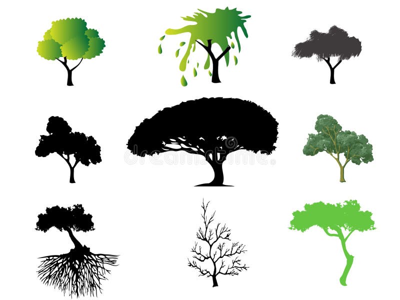 Different types of trees stock illustration