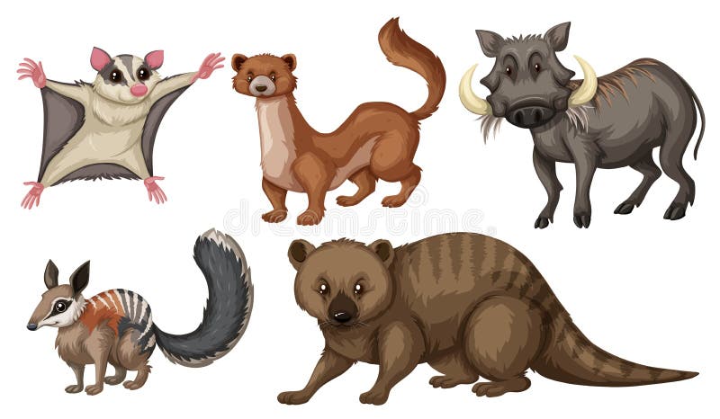Different Types of Wild Animals Stock Vector - Illustration of tropical, living: 82561597 Different Types of Wild Animals Stock Vector - Illustration of tropical, living: 82561597