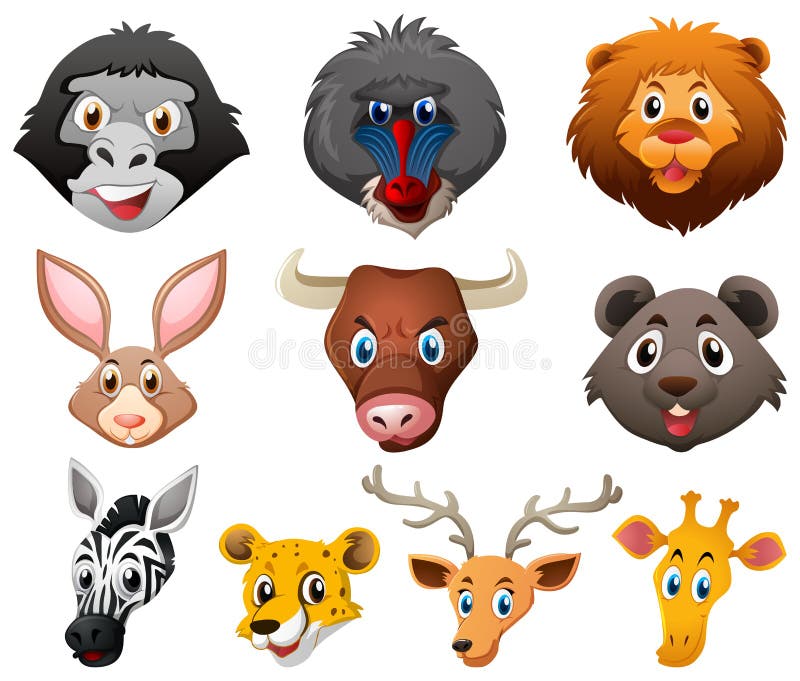 different types of wild dogs different types of wild dogs