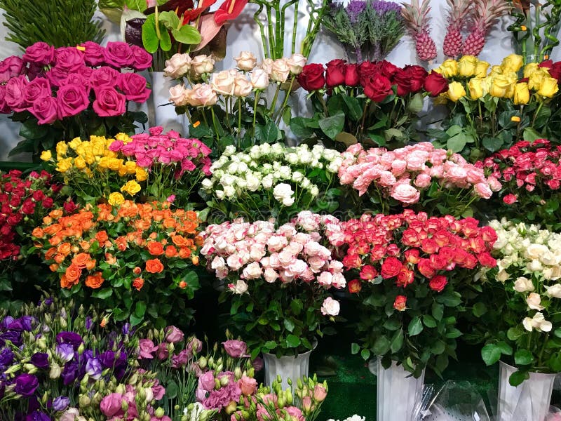 Different Varieties. Fresh Spring Flowers in Refrigerator for Flowers ...