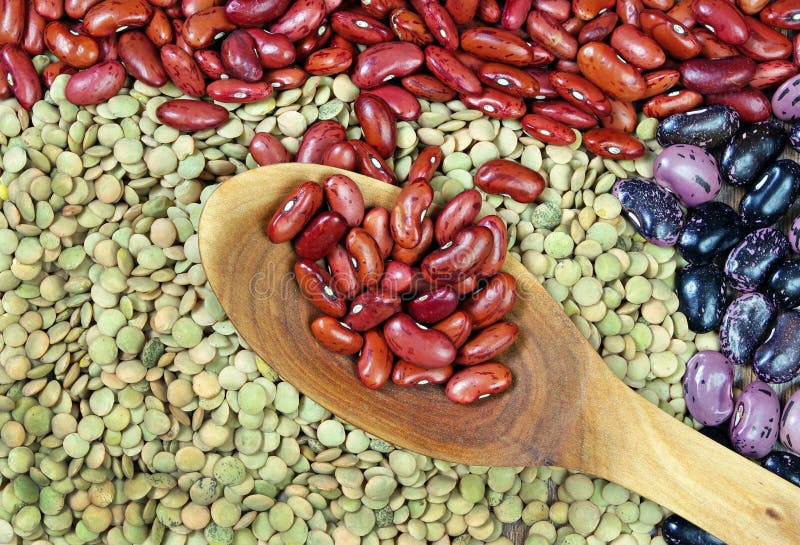 Different Varieties of Kidney Beans Stock Photo Image of harvest