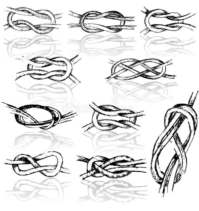 Vector Tie and Knot Instruction Stock Vector Illustration of knot