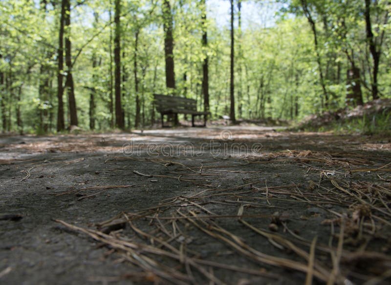 A different way of looking at the bench far in the background.