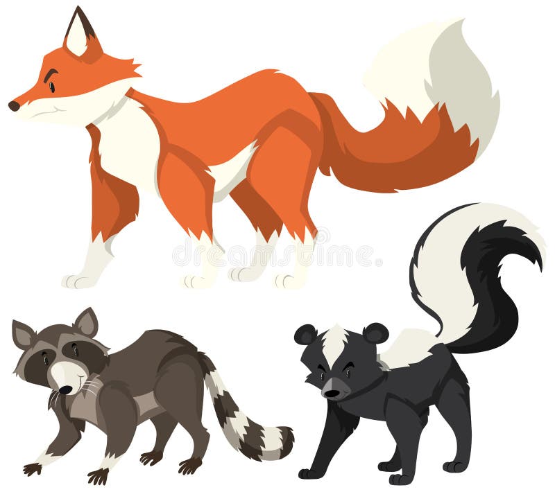 Different wild animals on white background