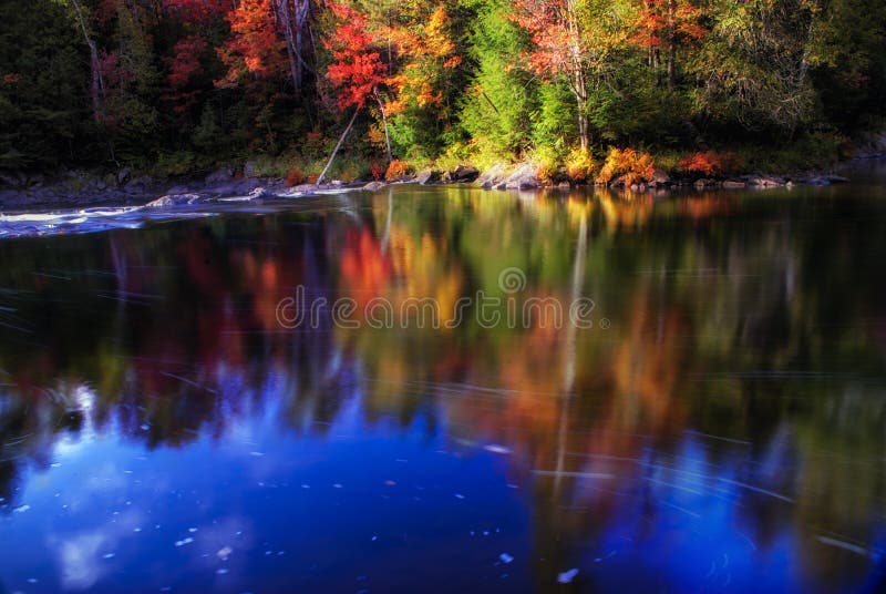 Diffused & Veiled Autumn Stream royalty free stock images