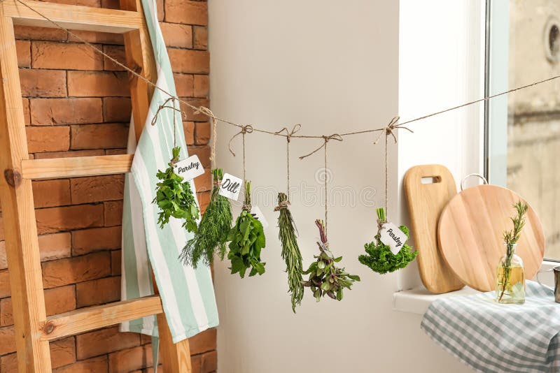 Différentes herbes fraîches accrochant sur la ficelle à l'intérieur image libre de droits Différentes herbes fraîches accrochant sur la ficelle à l'intérieur image libre de droits