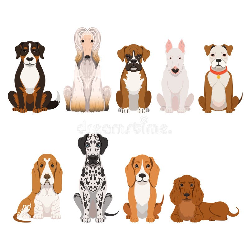 Différentes races de chien Groupe d'animaux domestiques dans le style de bande dessinée Illustrations de vecteur réglées illustration de vecteur Différentes races de chien Groupe d'animaux domestiques dans le style de bande dessinée Illustrations de vecteur réglées illustration de vecteur