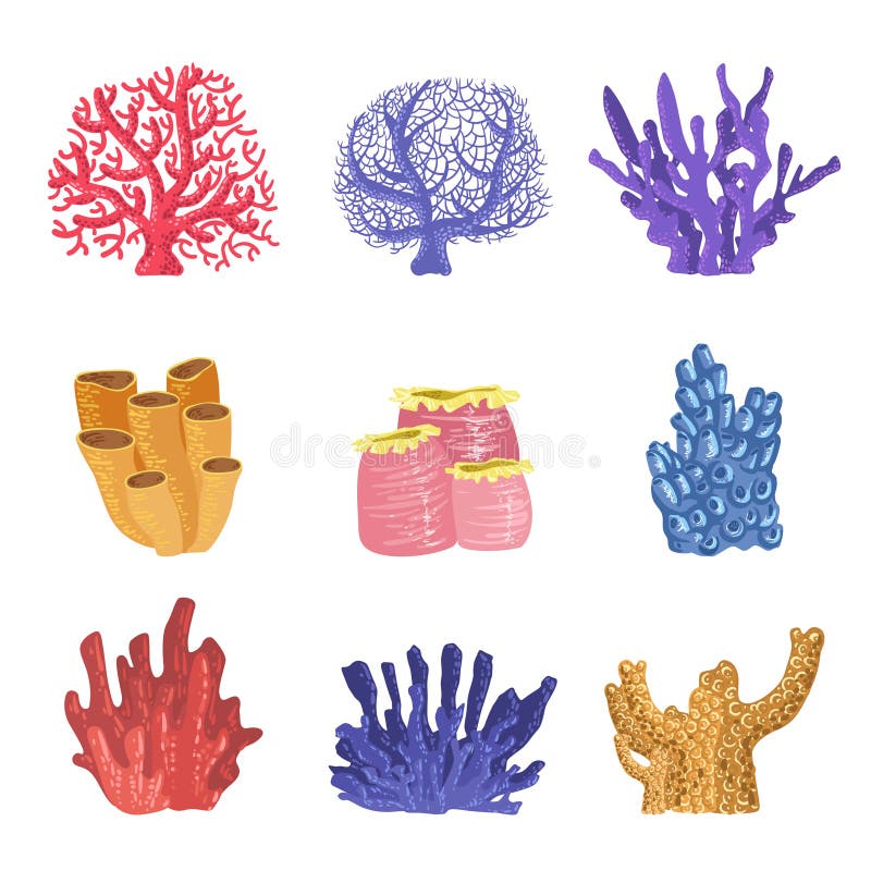 Différents types de récif tropical Coral Collection illustration de vecteur