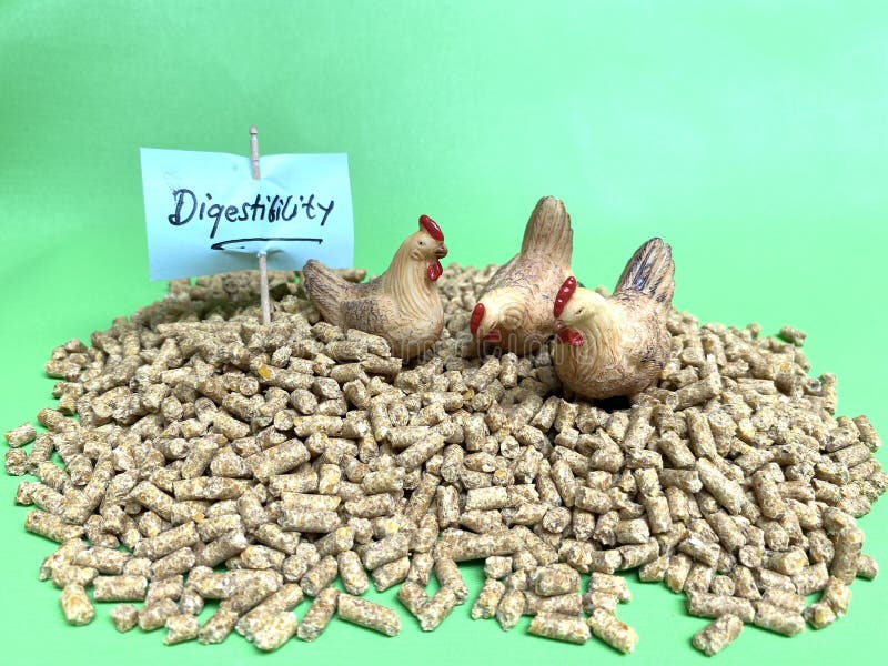 CONCEPT, Feed Conversion Ratio in Chicken Enzyme and Digestibility and