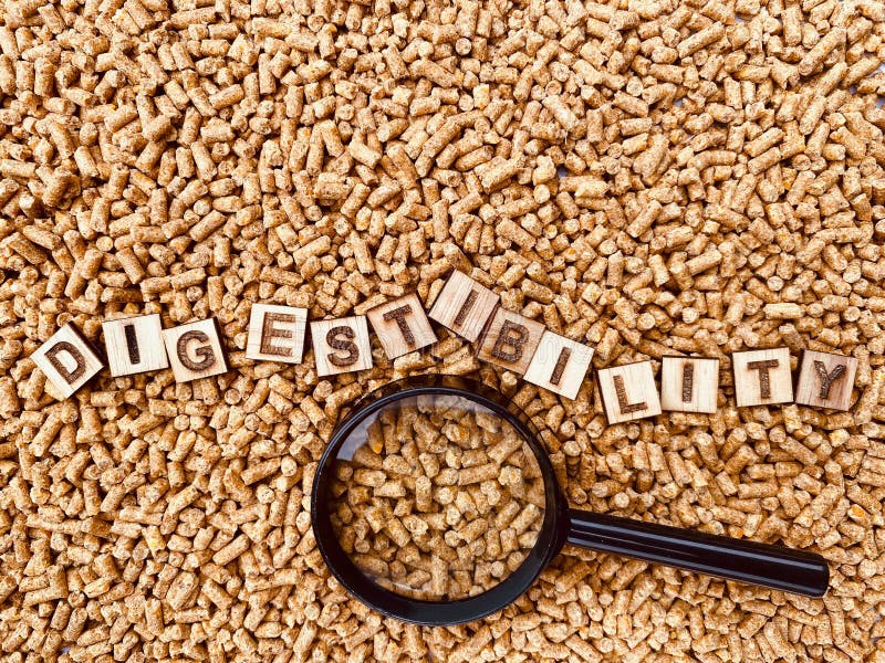 Digestibility for Poultry and Swine Pellet Feed Stock Photo - Image of products, acidifiers: 253334052 Digestibility for Poultry and Swine Pellet Feed Stock Photo - Image of products, acidifiers: 253334052