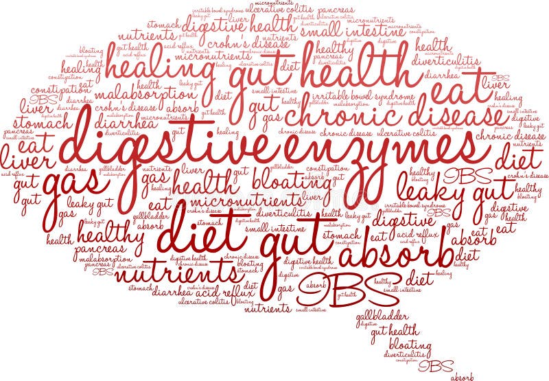 Digestive Enzymes Word Cloud Stock Illustration Illustration of