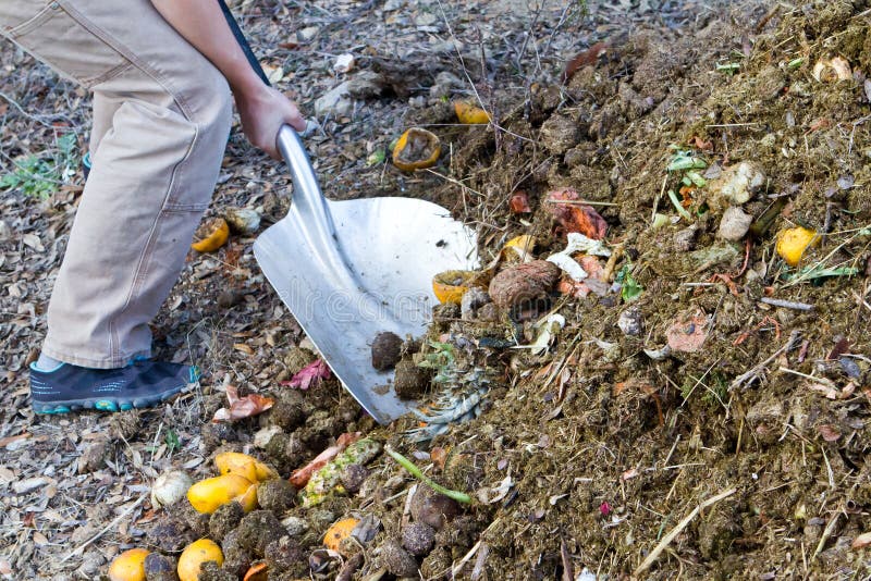 Giardiniere utilizzando una pala per scavare e girare su giardino compost da scarti di cucina.