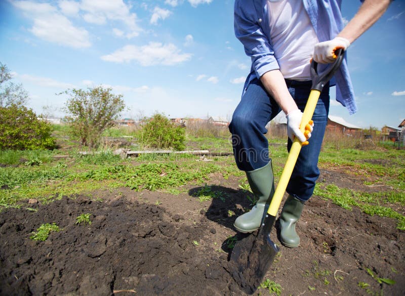 Digging in the garden stock photography