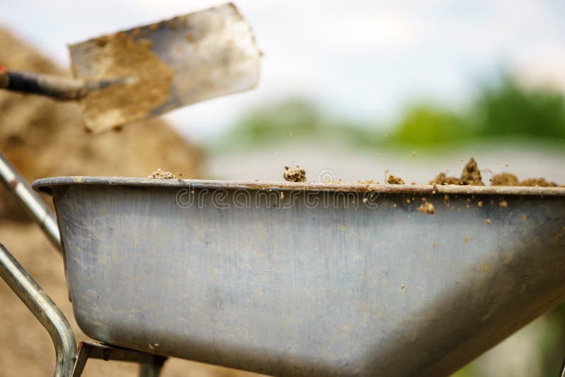 Digging with a Shovel. Throwing the Soil into a Wheelbarrow Stock Photo Image of building