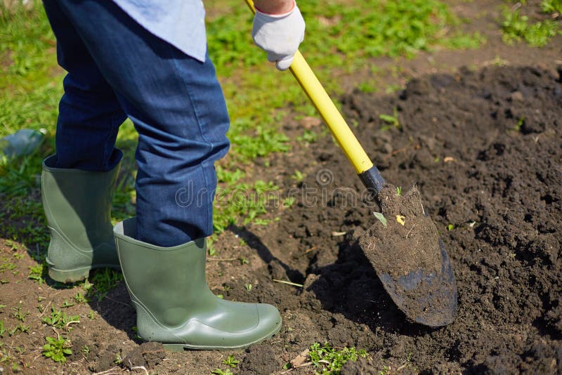 Digging Soil Stock Photo Image 57053929
