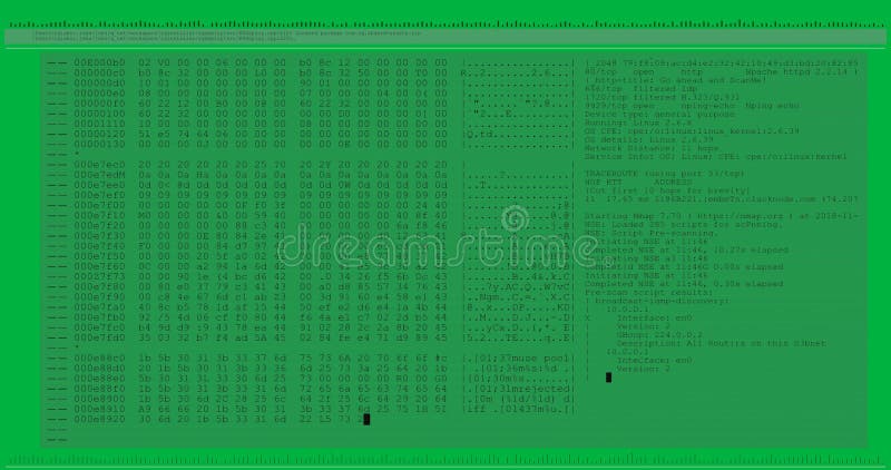 Digital animation of computer interface data processing and programming coding computer script programming and interface απεικόνιση αποθεμάτων