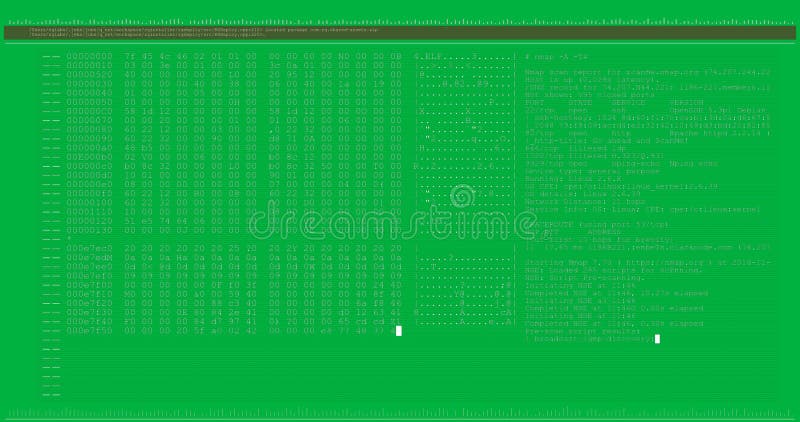 Digital animation of computer interface data processing and programming coding computer script programming and interface διανυσματική απεικόνιση
