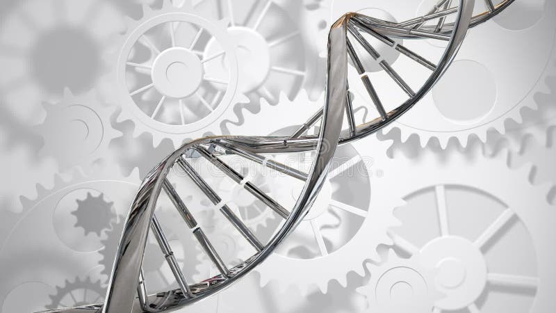 Double helix DNA and gears vector illustration