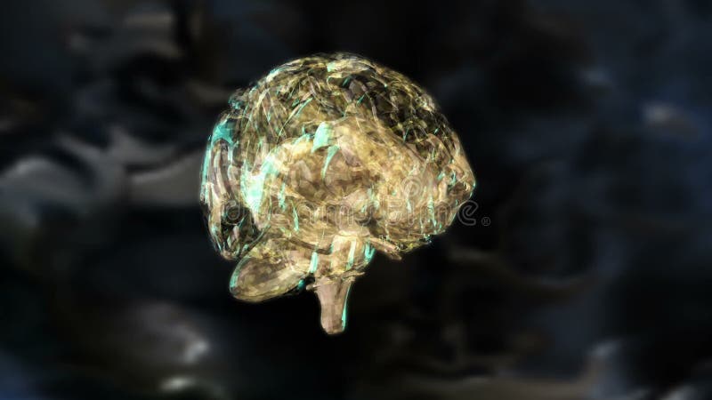 Digital Animation of a human Brain