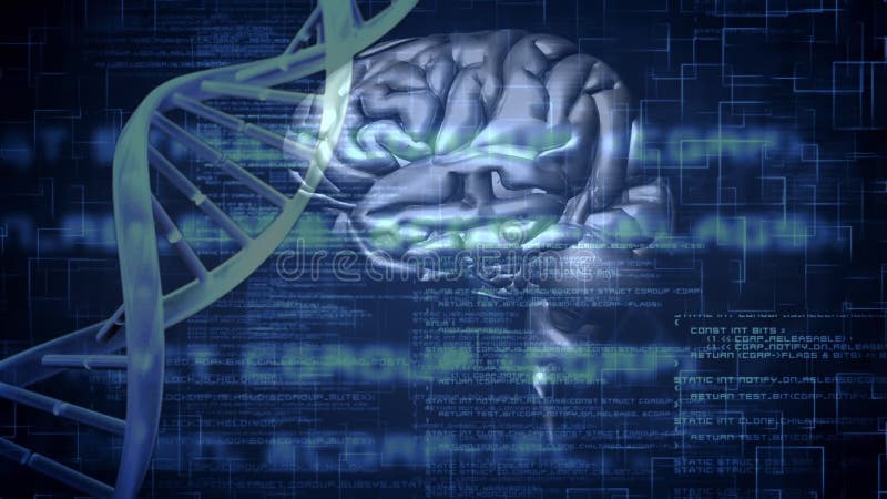 Digital animering av en hjärna och en DNAspiral