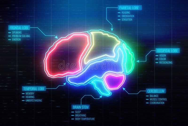 Digital brain wallpaper stock illustration. Illustration of interface -  117518313