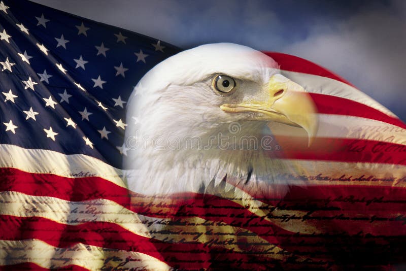 Digitale composito American bald eagle e la bandiera è underlaid con la scrittura della Costituzione americana.
