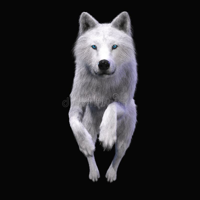3D Illustration of a Wolf