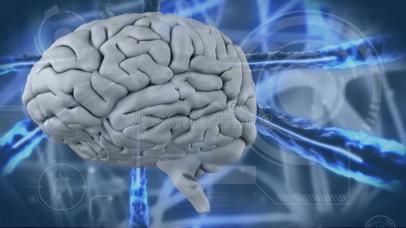 Digital frambragd video av den mänskliga hjärnan