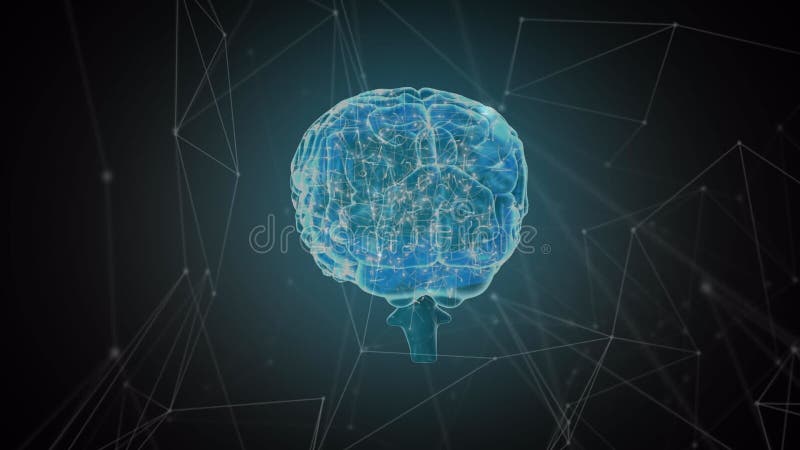 Digital hjärnnätverk