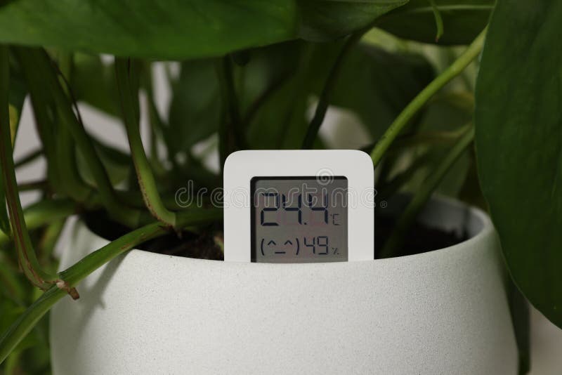 Digital Hygrometer with Thermometer and Plant in Flower Pot, Closeup Stock Image Image of
