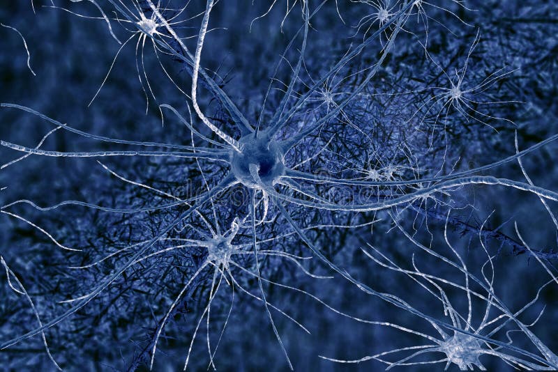 Digital illustration neurons cell human