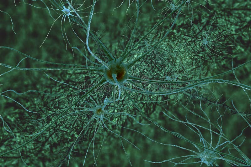 Digital illustration neurons cell human