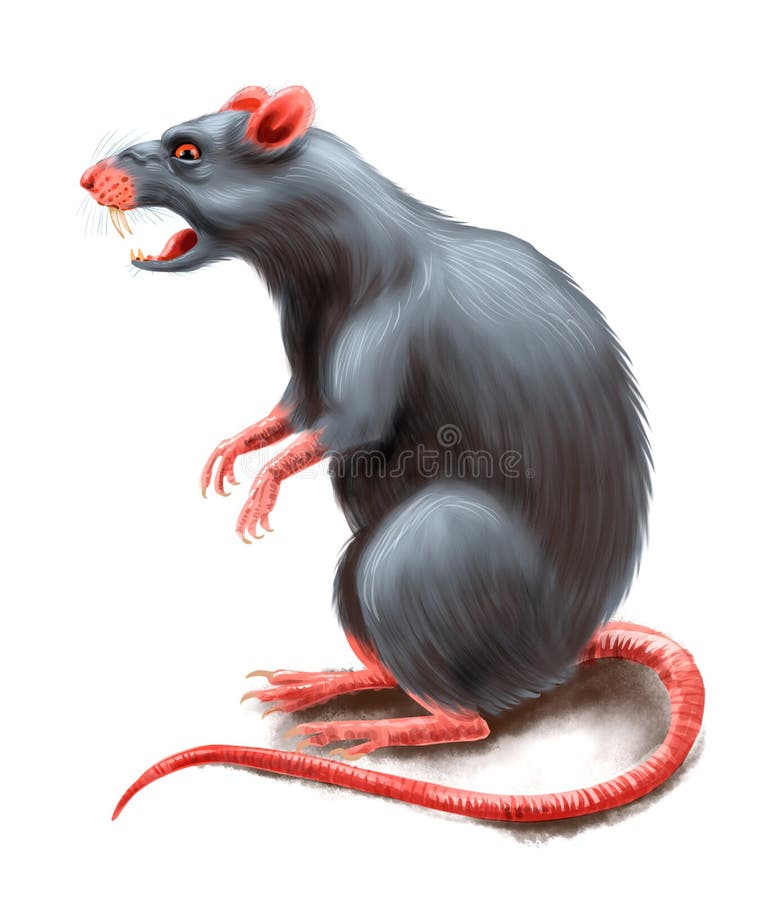 Scary Rat Stock Illustrations – 361 Scary Rat Stock Illustrations, Vectors  & Clipart - Dreamstime