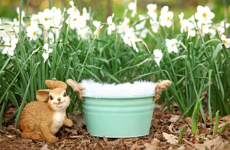 Digital Photography Background Of Spring Flower Garden And Bucket Prop stock image