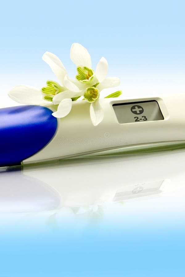 Digital Pregnancy Test